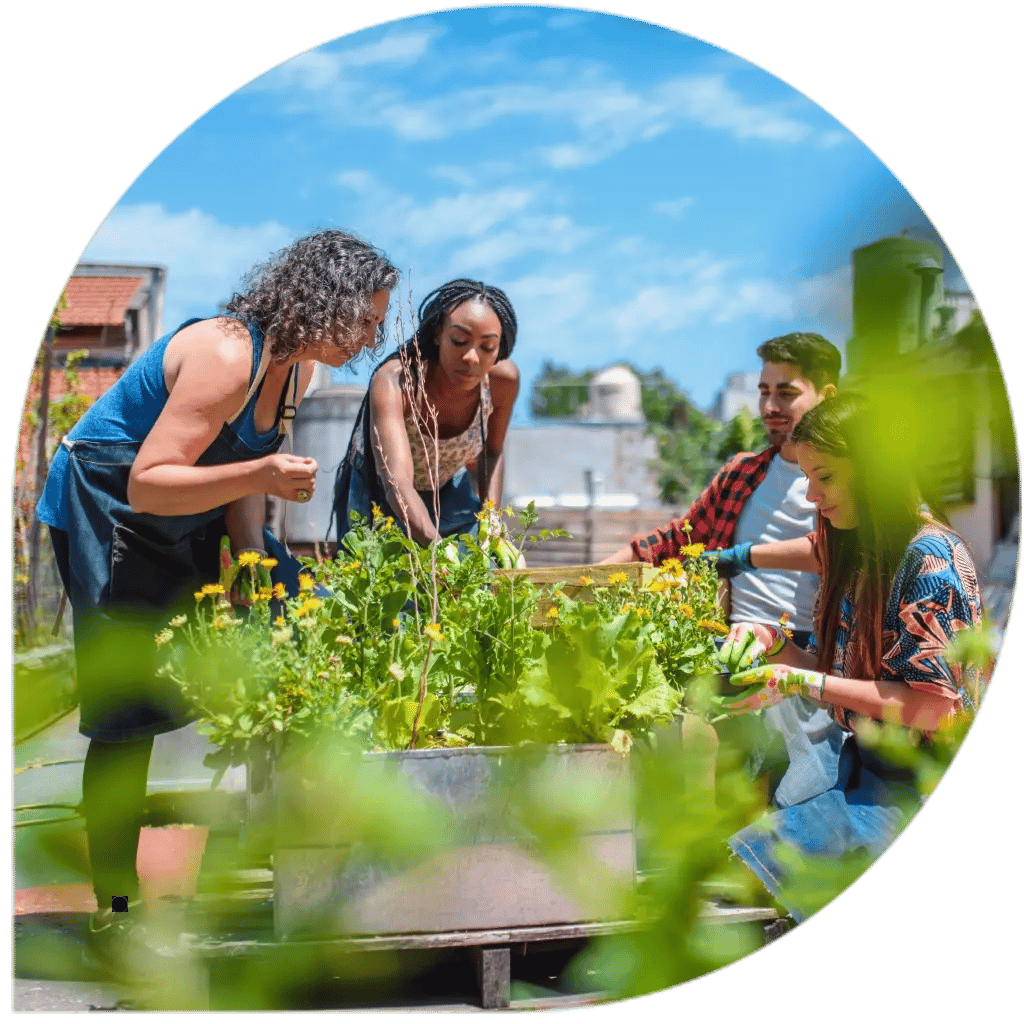 Loci App image shape copy